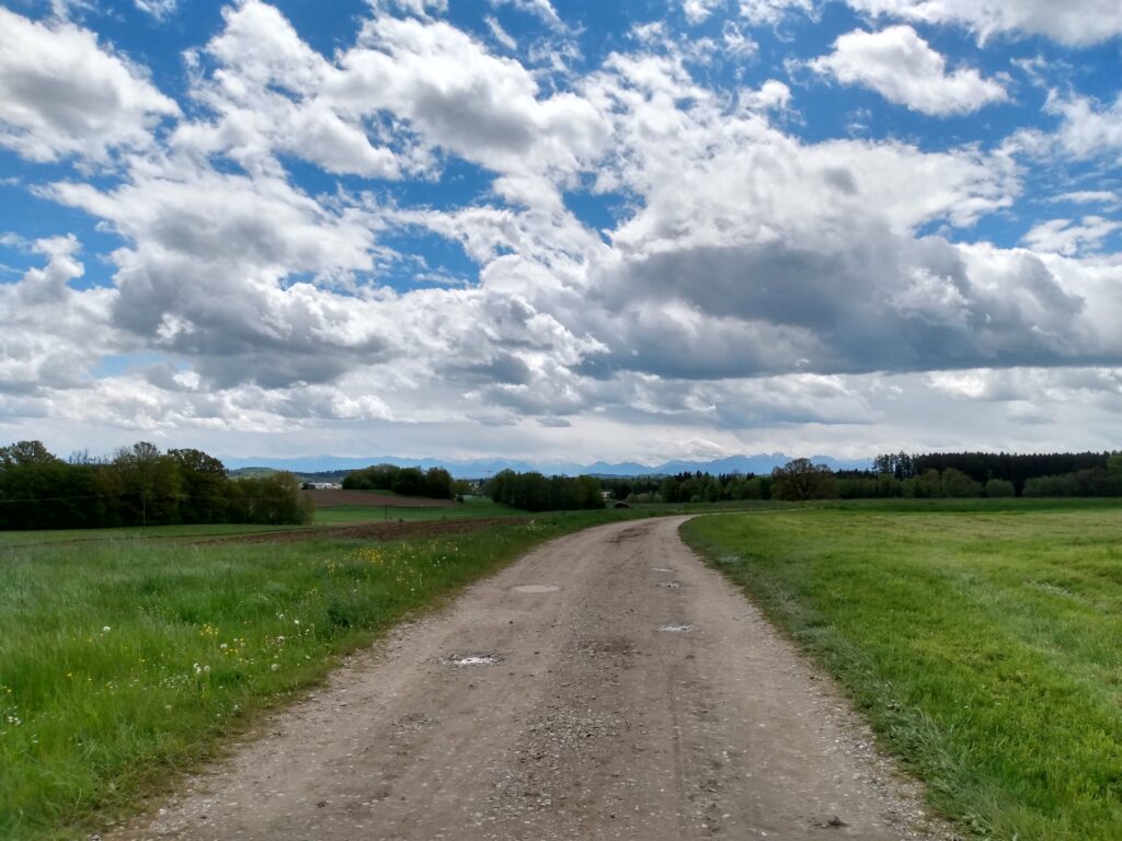 Sonniger Waldweg — Stimmungsbild Ebersberg