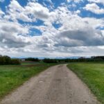 Sonniger Waldweg — Stimmungsbild Ebersberg